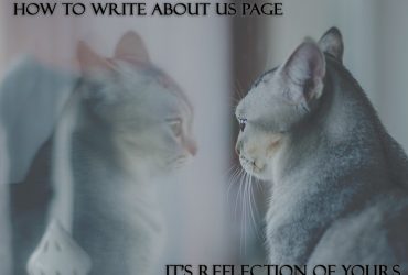 about us page design & write content