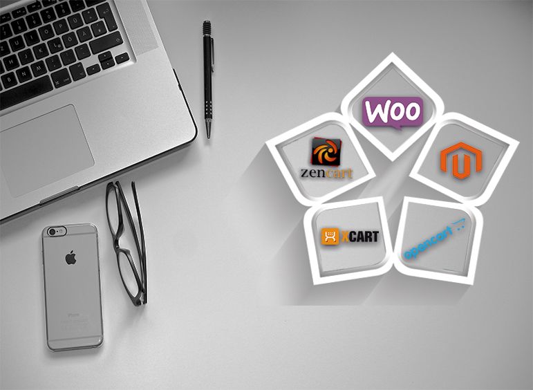 Ecommerce Platforms in India