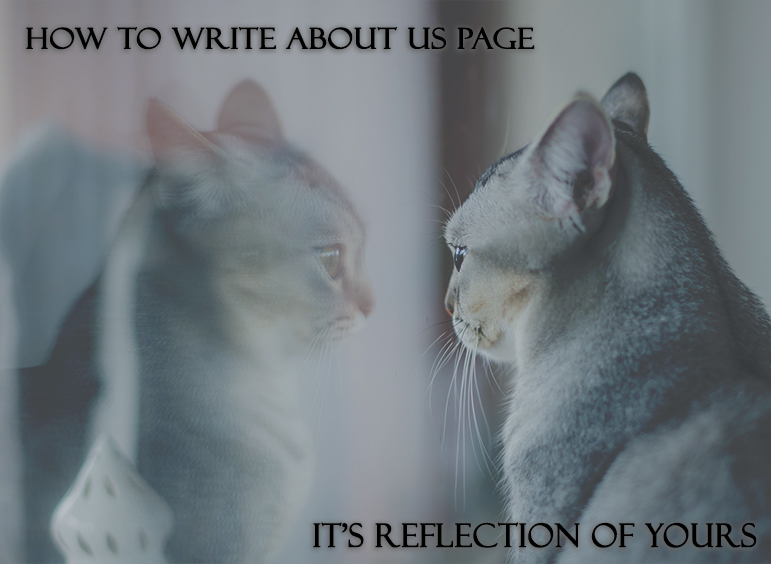about us page design & write content